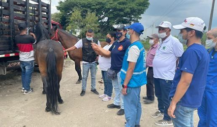 Alcaldía de Palmira abrió proceso por presuntas irregularidades en cabalgata privada, que dejó un fallecido