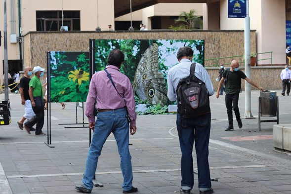 En la zona peatonal de Palmira se exhiben 24 fotografías impresas en gran formato, donde se plasman campañas educativas ambientales.