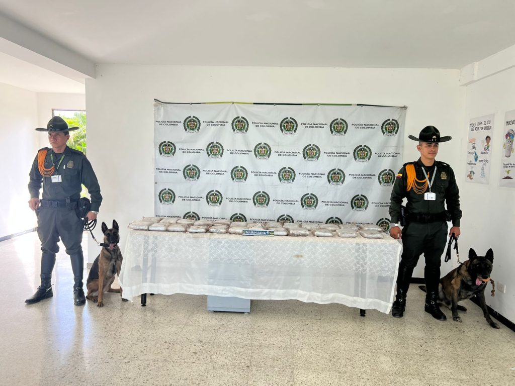 En Palmira, se evitó que más de 18 kilogramos de estupefacientes llegaran a su lugar de destino
