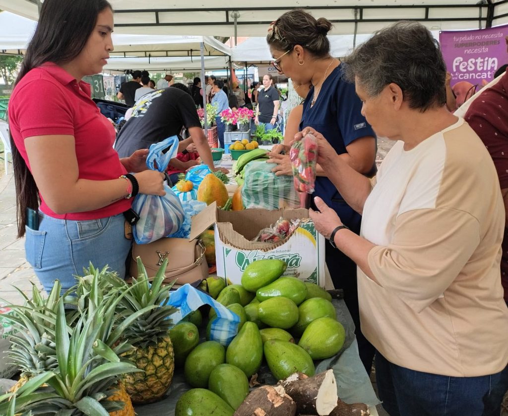 Palmira impulsa la economía campesina con la séptima versión de la Feria Campesina en el Parque La Factoría