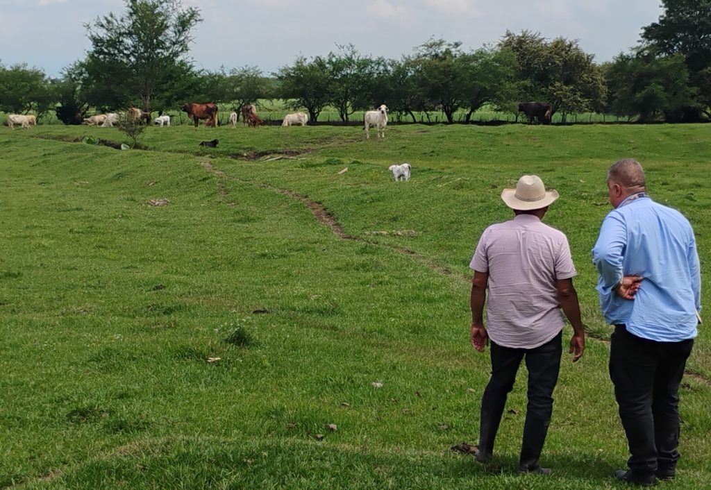 subsecretario Desarrollo Rural en vista de campo a una ganaderia local