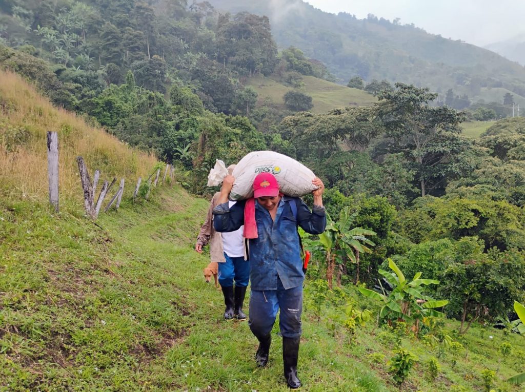 campesino de montaña