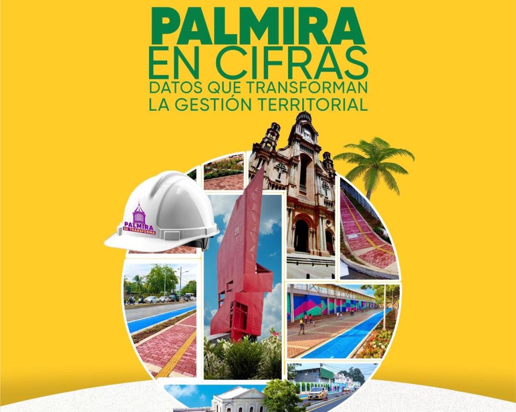pieza grafica foto palmira en cifras