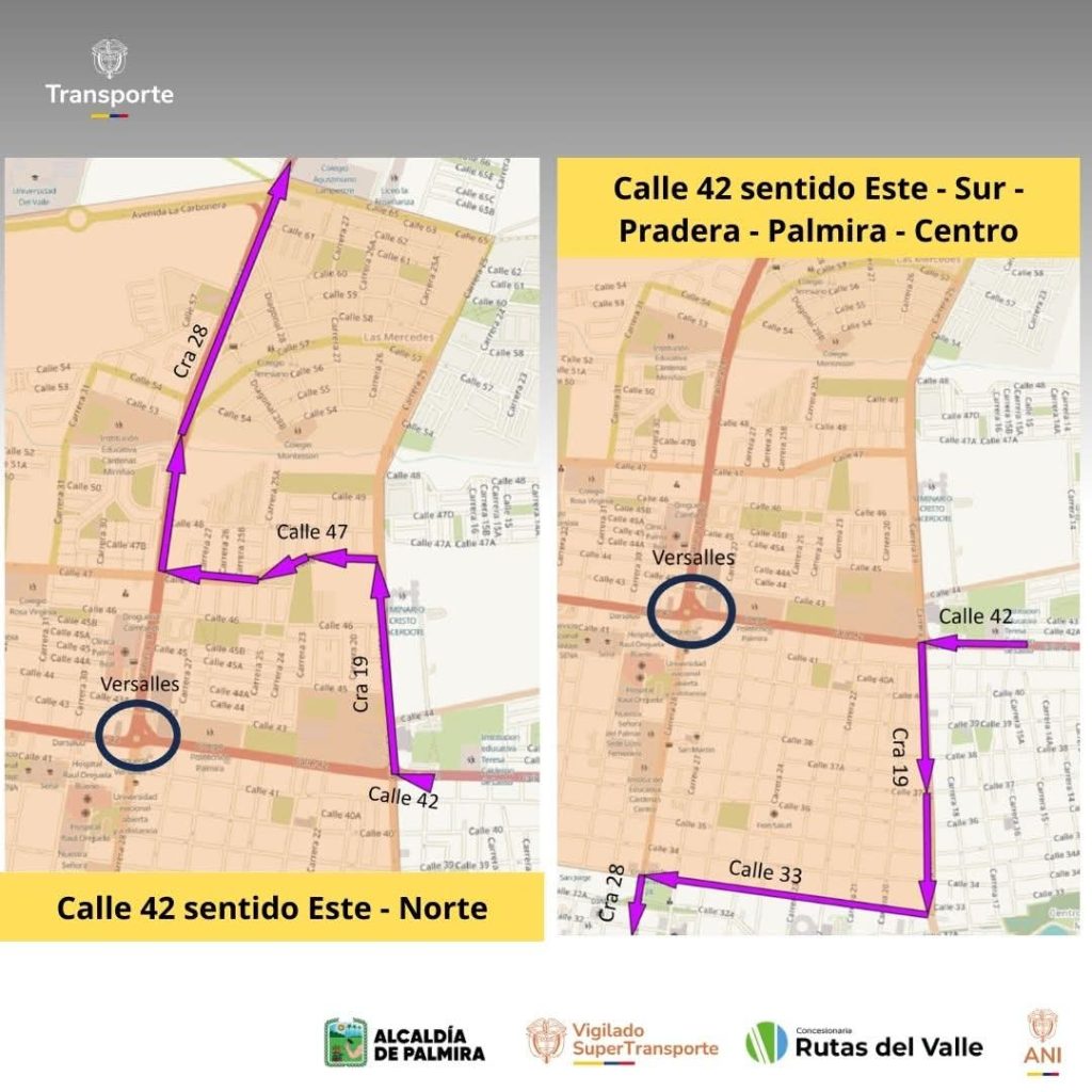 plan de manejo vial (4)