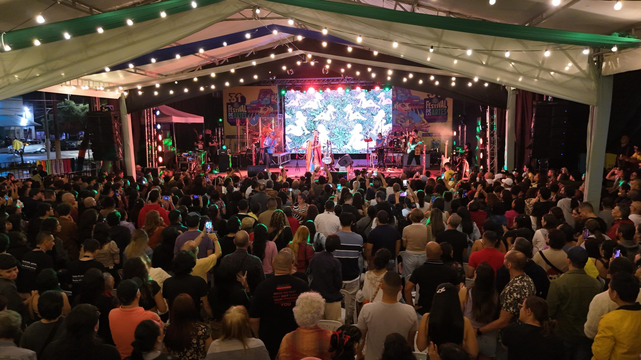 concierto Aterciopelados Palmira