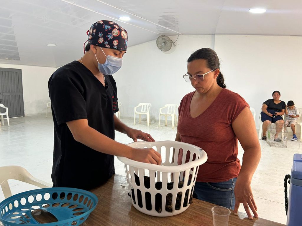 Palmira continúa fortaleciendo la protección y el bienestar animal