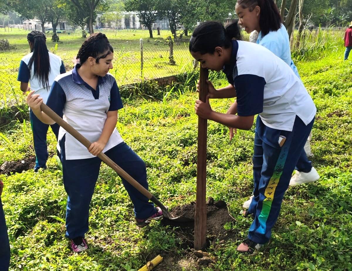 estudiantes sembrando arboles