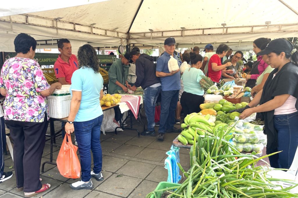 Palmiranos, nueva cita con el campo: Feria Campesina este sábado 8 de noviembre en el Parque La Factoría