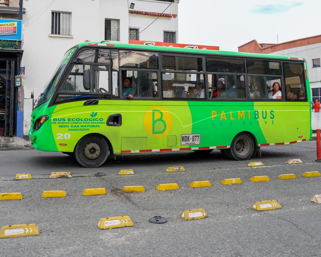 palmibus en paradero