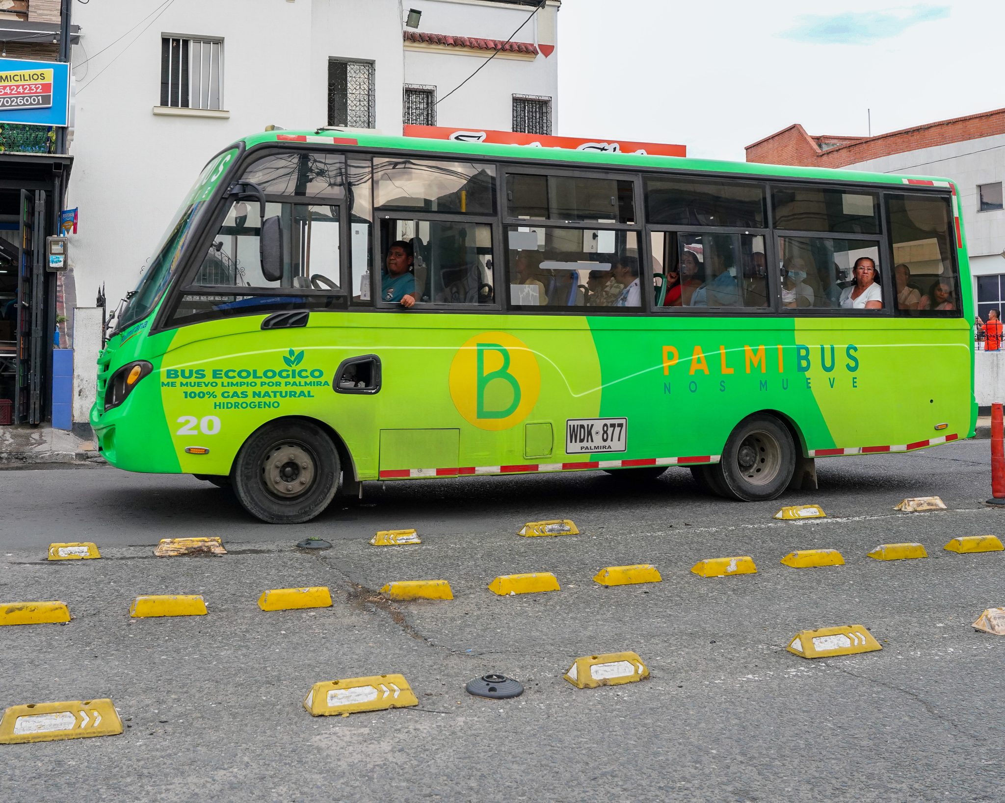 palmibus en paradero