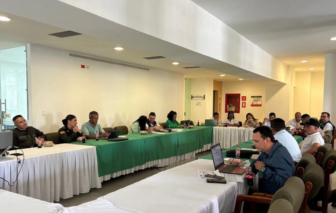 comite de seguimiento electoral palmira