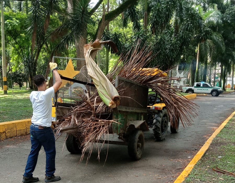 mantenimiento bosque municipal