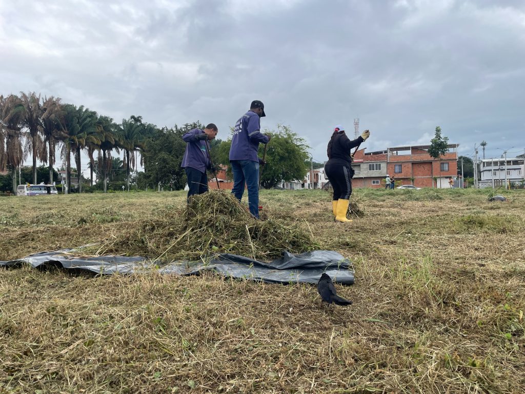 limpieza DGMA en campo verde