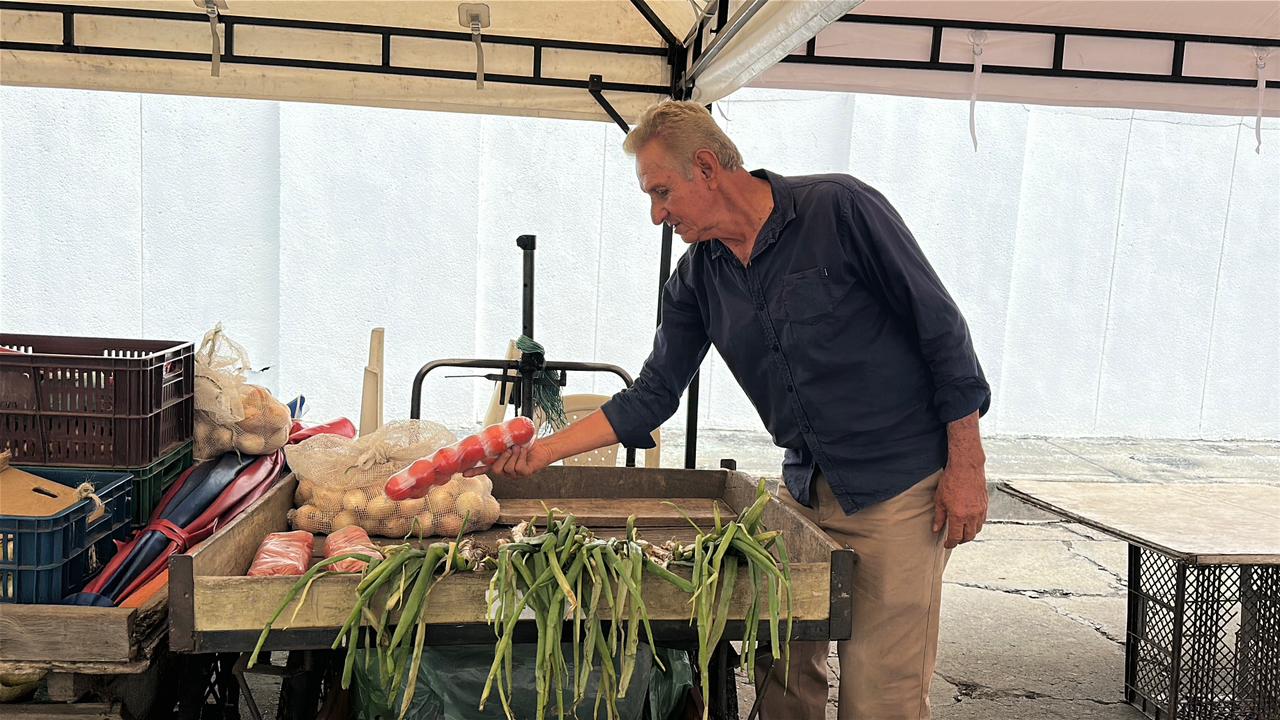 vendedores galería palmira