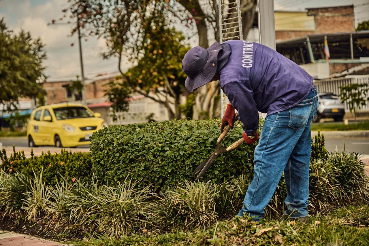 embellecimiento zonas verdes