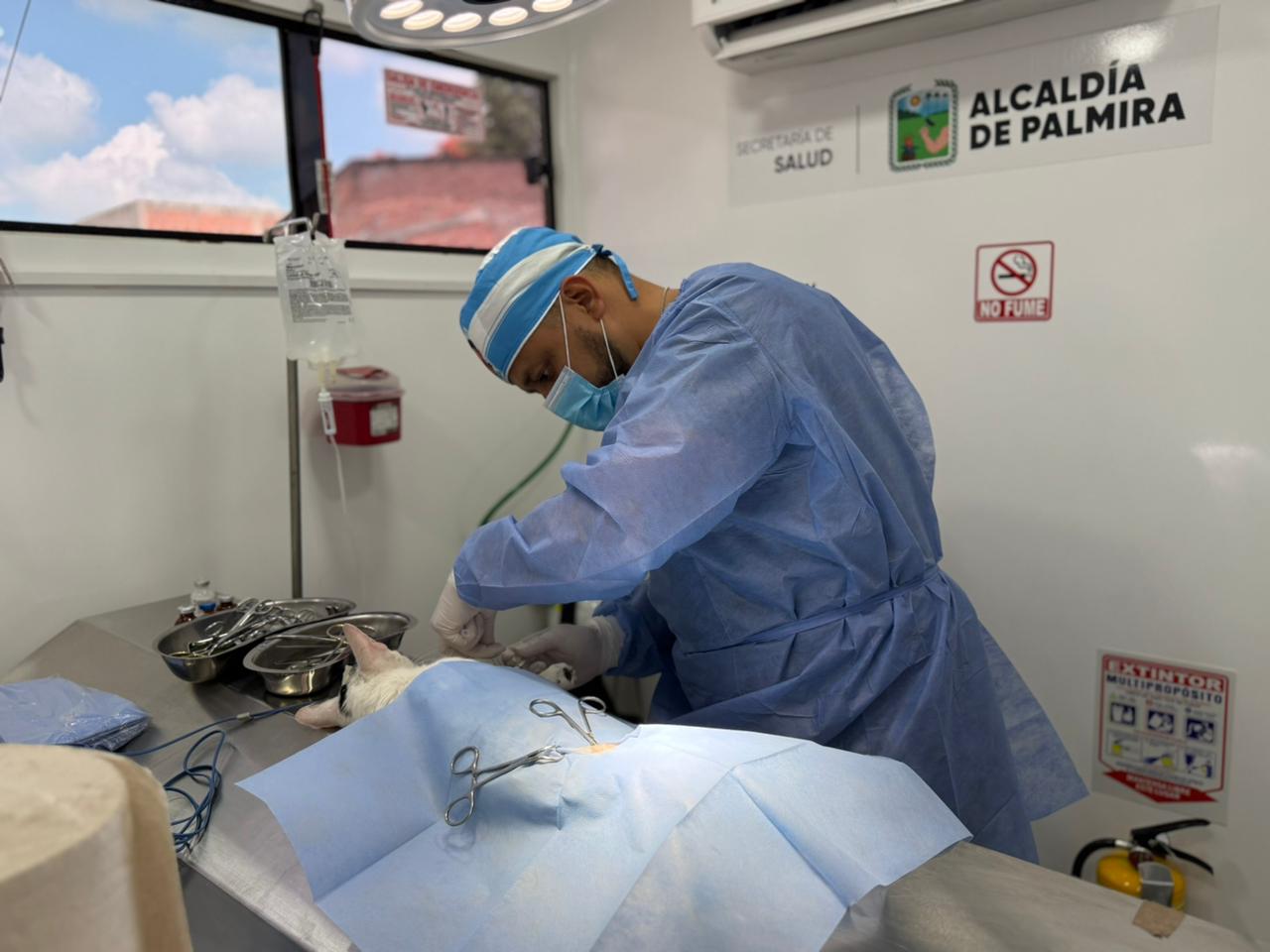 esterilizacion fellina