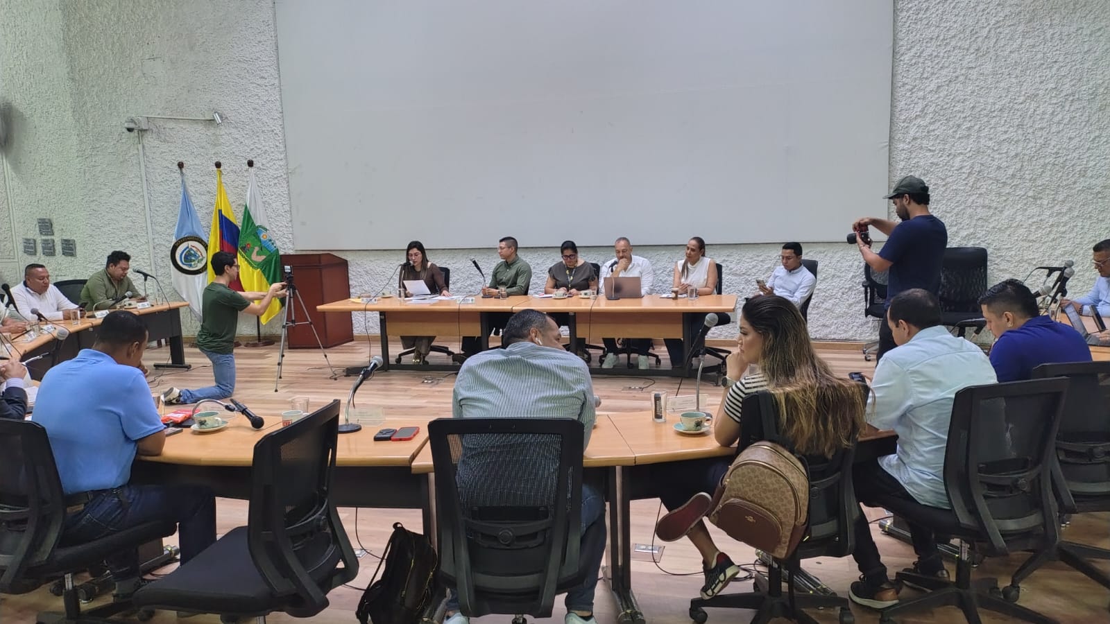 sesion plenaria del concejo municipal