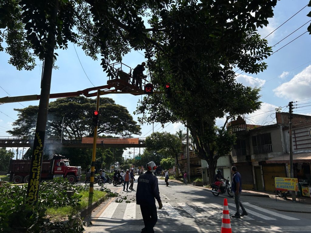 Una escena callejera urbana en Colombia con tráfico y trabajos de poda. Una persona opera una sierra desde la plataforma de una grúa articulada en lo alto, rodeada de ramas de árboles. Abajo, en la calle, otra persona trabajadora del mismo equipo, con un chaleco reflectante que dice "CONTRATISTA", camina sobre un cruce peatonal. A la izquierda, un camión de volquete rojo grande y varias motocicletas esperan. El fondo muestra un paso elevado, edificios y un gran árbol centenario.