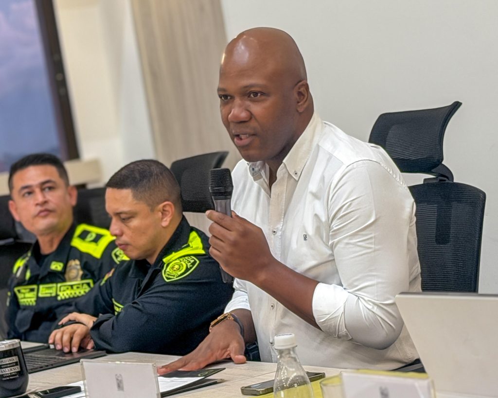 consejo de seguridad