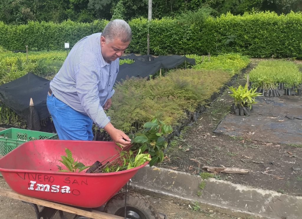 Alcaldía de Palmira con el apoyo de la CVC impulsa la seguridad alimentaria con la entrega de árboles frutales nativos