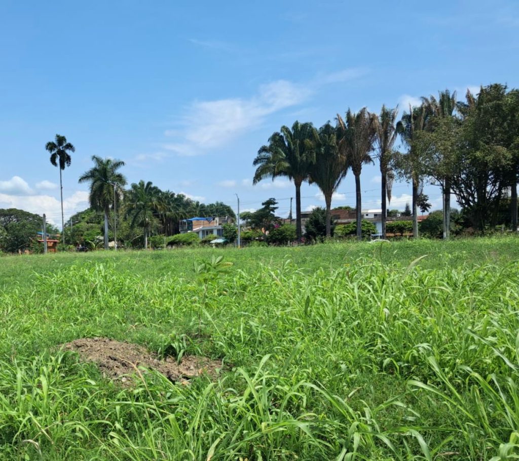 Palmira, territorio sostenible
