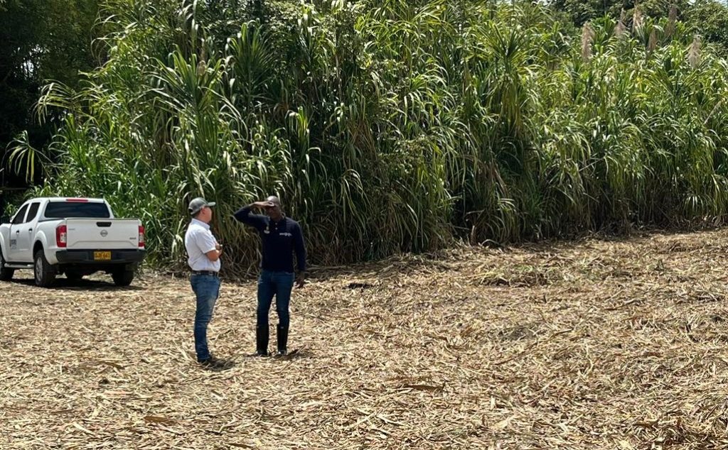 En la imagen dos hombres conversando en un campo cosechado junto a una camioneta blanca y vegetación densa