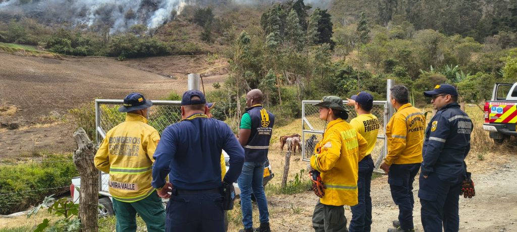 Fotografía de un grupo de bomberos forestales de Palmira, Valle, observa un incendio en una zona montañosa detrás de una cerca metálica.