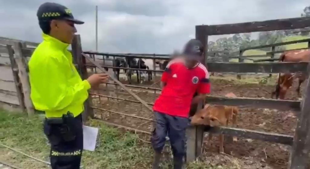 Agente de la Policía Nacional con chaqueta amarilla realizando lectura de derechos en el proceso de captura de un hombre con camiseta roja junto a un corral de ganado en una zona rural.